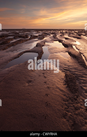 Fußabdrücke von Watvögeln im Wattenmeer in Sand-Bucht in der Nähe von Weston-super-Mare. Somerset. England. VEREINIGTES KÖNIGREICH. Stockfoto