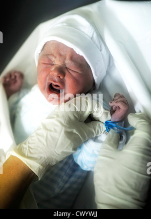 Männliche Neugeborene Weinen Stockfoto