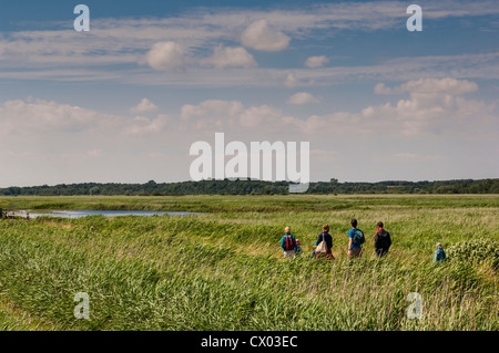 Menschen zu Fuß auf den Minsmere RSPB Vogel reservieren in Suffolk, England, Großbritannien, Uk Stockfoto