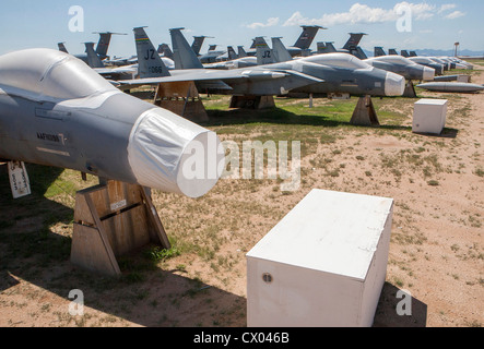 F-15 Eagle Flugzeuge in der Lagerung bei der 309. Aerospace Maintenance and Regeneration Group in Davis-Monthan Air Force Base. Stockfoto