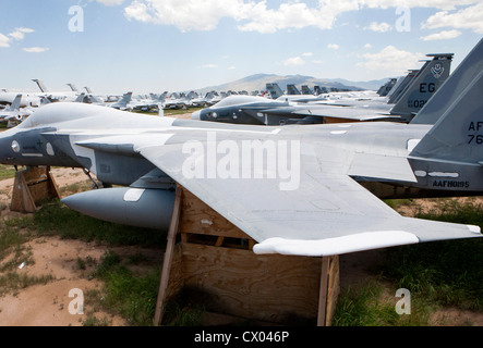 F-15 Eagle Flugzeuge in der Lagerung bei der 309. Aerospace Maintenance and Regeneration Group in Davis-Monthan Air Force Base. Stockfoto