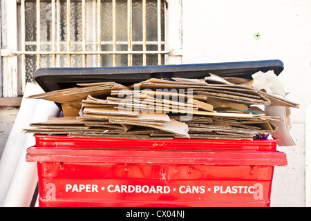 Abfälle Karton gestapelt in einem roten Müllcontainer für das recycling Stockfoto