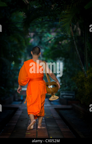 Buddhistischer Mönch in den frühen Morgen auf den Weg nach Hause, nachdem sie Almosen in Chiang Mai, Thailand gesammelt Stockfoto