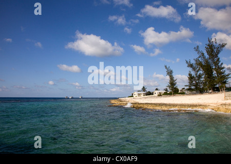 Sonnigen Himmel & klarem Wasser auf Spotts Landung Strand, Cayman Island, Caribbean Stockfoto