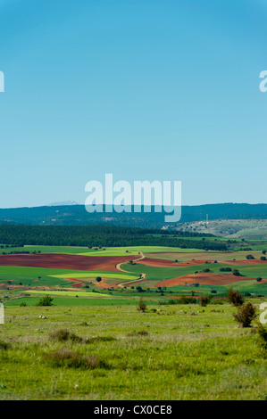 Landschaft, archäologische Stätte von Clunia Sulpicia, Burgos, Castilla y Leon, Spanien, Europa. Stockfoto