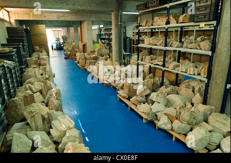 Museum der archäologischen Stätte von Clunia Sulpicia, Burgos, Castilla y Leon, Spanien, Europa. Stockfoto