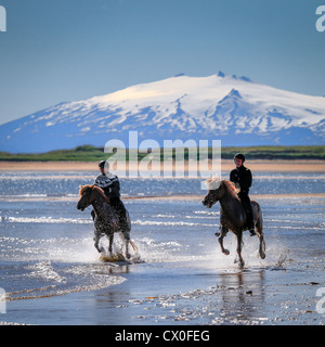 Reiten am Longufjordur, Snaefellsjökull-Gletscher im Hintergrund Snaefellsnes Halbinsel, Island Stockfoto