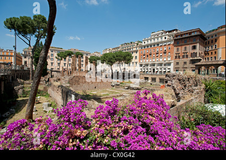 Area Sacra Di Largo Argentina Rom Italien Stockfoto