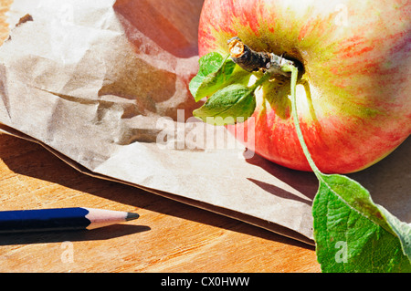 Eine braune Papiertüte Mittagessen, einen frisch gepflückten Apfel und einem Bleistift sind alle Objekte, die von Studenten gehen wieder zur Schule genossen. Stockfoto