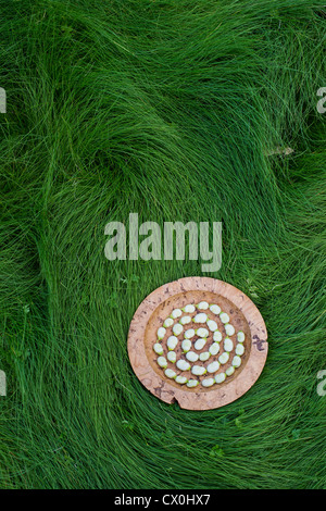 Saubohne Spirale in einer Holzschale auf lange Wiese Stockfoto