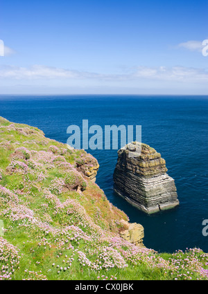 Knie, Duncansby Head, Highland, Schottland, Großbritannien. Stockfoto