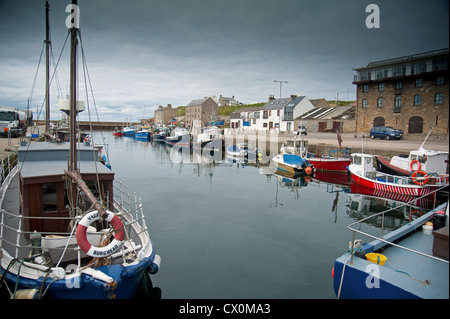 Fischerboote im Hafen von Burghead Moray, Grampian Garnele. Schottland. SCO 8417 Stockfoto