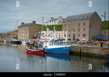 Fischerboote im Hafen von Burghead Moray, Grampian Garnele. Schottland. SCO 8418 Stockfoto