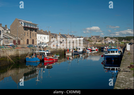 Fischerboote im Hafen von Burghead Moray, Grampian Garnele. Schottland.   SCO 8431 Stockfoto