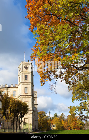 Russland, Gattschina, helle Herbst Baum im Park in der Nähe von einem Palast Stockfoto