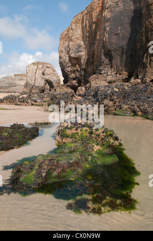 Blick auf die Felsformationen, Fels-Pools und Miesmuscheln (Mytilus Edulis) auf Dünenwanderungen Strand bei Ebbe. Perranporth. Cornwall, England, Vereinigtes Königreich Stockfoto