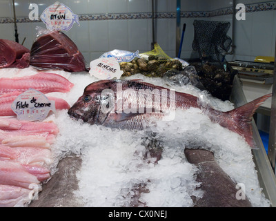 Auswahl verschiedener Fische zum Verkauf auf dem Markt in Las Palmas de Gran Canaria Stockfoto