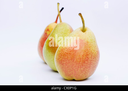 Pyrus Communis "Forelle". Drei rote erröten Tafelbirnen auf weißem Hintergrund. Stockfoto