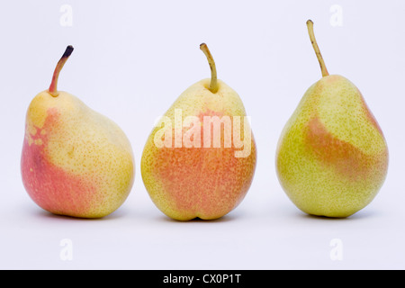 Pyrus Communis "Forelle". Eine Reihe von drei roten Rouge Tafelbirnen auf weißem Hintergrund. Stockfoto