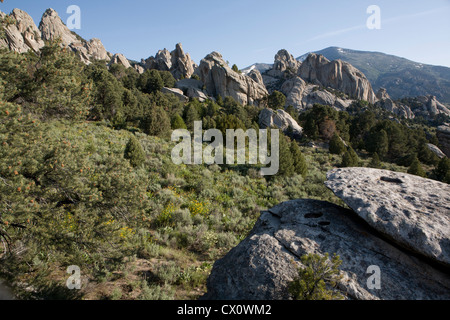 Felsen und Türme im Castle Rocks State Park, Almo, ID. Stockfoto