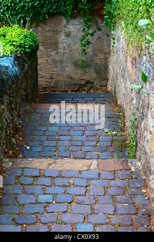 Steinstufen auf einem Wanderweg in kleinen Stadt Saarburg, Rheinland-Pfalz, Deutschland Stockfoto