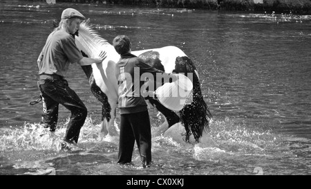 1 junger Mann und ein Junge Waschen ein Pferd in einen Zigeuner Pferd Messe in Appleby, Westmorland, Nordwestengland Stockfoto