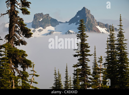 Pinnacle Peak und The Castle Peak im Bereich von Tatoosh, Mount-Rainier-Nationalpark, Washington, USA. Stockfoto