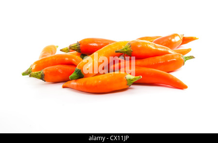 Red hot Chili peppers Schrumpfschlauch isoliert auf weißem Hintergrund Stockfoto
