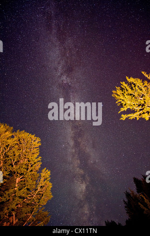 Die Milchstraße, Washington, USA Stockfoto