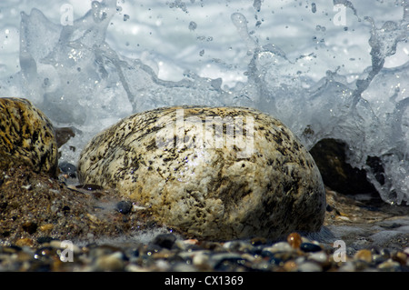 Nahaufnahme von der großen Kiesel auf einem Kiesstrand mit einer Welle gegen Spritzwasser Stockfoto