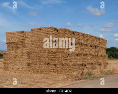 Stapel von Strohballen, Norfolk, Großbritannien Stockfoto