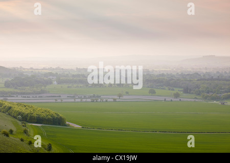 Eine niedrige nebligen Morgendämmerung über Vale of Pewsey in Wiltshire von Knapp Hill. Stockfoto