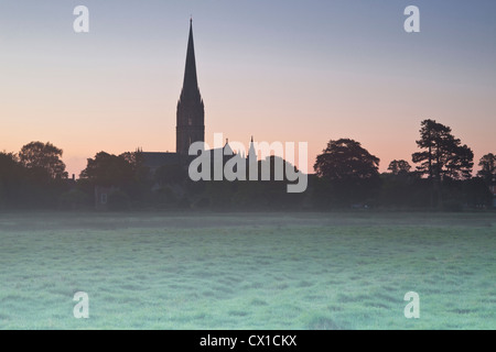 Blick über den Westen Harnham Auen in Richtung Kathedrale von Salisbury in der Morgendämmerung. Stockfoto