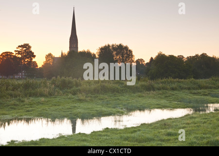Blick über den Westen Harnham Auen in Richtung Kathedrale von Salisbury in der Morgendämmerung. Stockfoto