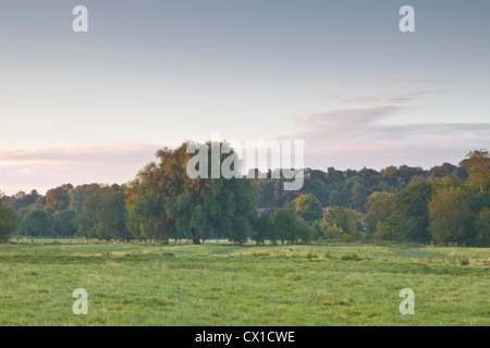 Die West Harnham Wasser Wiesen am Rande von Salisbury. Stockfoto