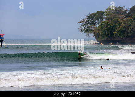 Lokalen Surfer Surfen die Punkt-Pause-Welle auf einem Longboard bei Batu Karas in West-Java. Stockfoto