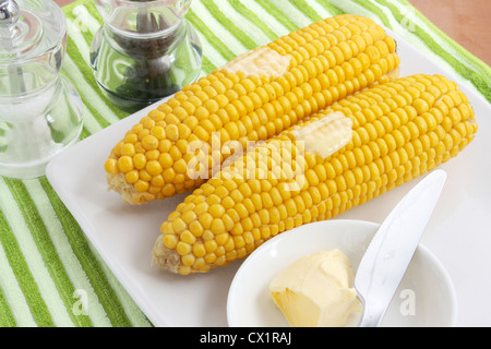 Zwei gekochte Maiskolben mit Salz und Pfeffer in eine Schüssel mit Butter serviert. Mit einem grün gestreiftes Tuch Hintergrund. Stockfoto