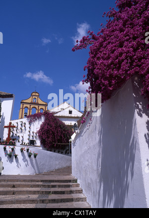 Typisch weiß getünchten andalusischen Platz mit floralen Kreuz und Kirche Glockenturm in der Nähe von Cristo de Los Faroles Cordoba Andalusien Spanien Stockfoto