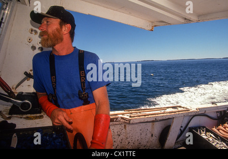 Hummer-Fischer in seinem Boot entlang der mittleren Küste von Maine. Stockfoto