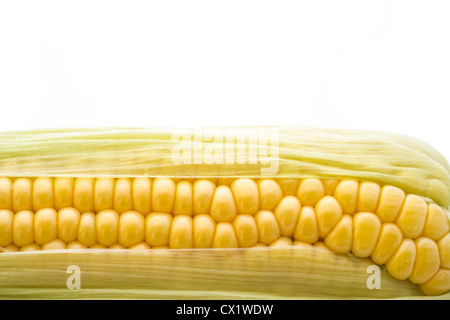 Nahaufnahme des gelben reif Mais auf einem weißen Hintergrund. Stockfoto