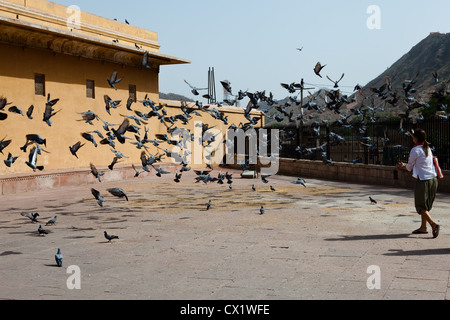 Besucher, die die Tauben füttern außerhalb Amer Fort, Jaipur Stockfoto