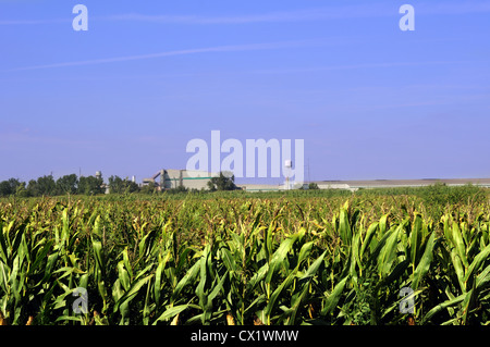 STEEL DYNAMICS SDI in Whitley county Indiana Stockfoto