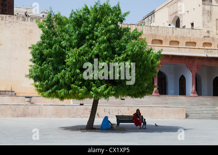 Der Haupthof in Amer Fort, Jaipur Stockfoto