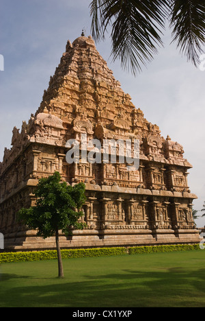 Elk201-4596v Indien, Tamil Nadu, authentische Brihadishwara-Tempel vimana Stockfoto