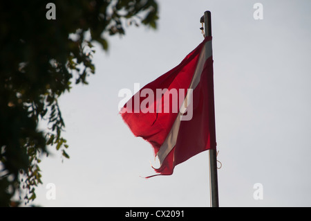 Tauchflagge in Bonaire, Niederländische Antillen Stockfoto