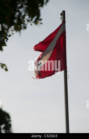 Tauchflagge in Bonaire, Niederländische Antillen Stockfoto