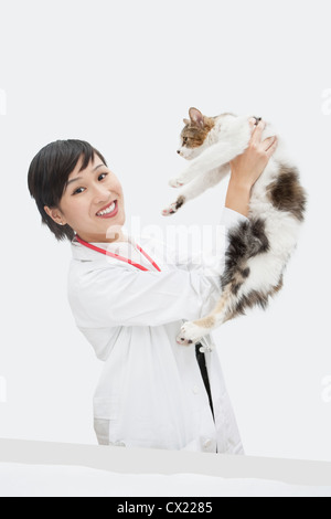 Porträt von weiblichen Tierarzt hält Katze vor grauem Hintergrund Stockfoto