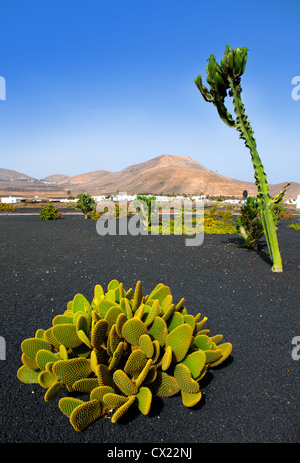 Lanzarote Yaiza weißes Dorf mit Kakteen und Berge in Kanarische Inseln Stockfoto