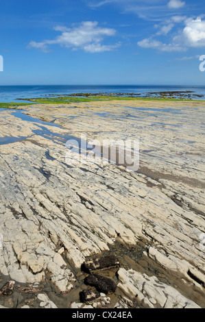 Fels-Pools bei Ebbe auf Whitby Strand Nord Yorkshire England uk Stockfoto