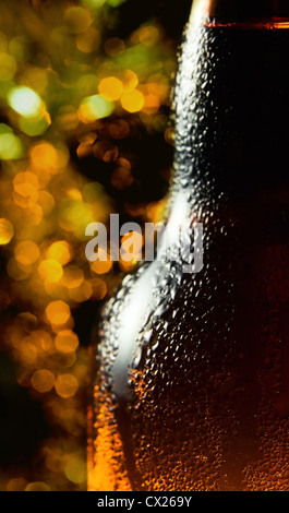 Schuss von frostigen Bierflasche hautnah Stockfoto